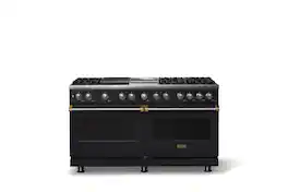 Viking - 60"W. 8 Burner Pro 5 Series 9.4 Cu. Ft. Freestanding Sealed LP Dual Fuel ConvectionRange with Brushed Brass Trim - Onyx