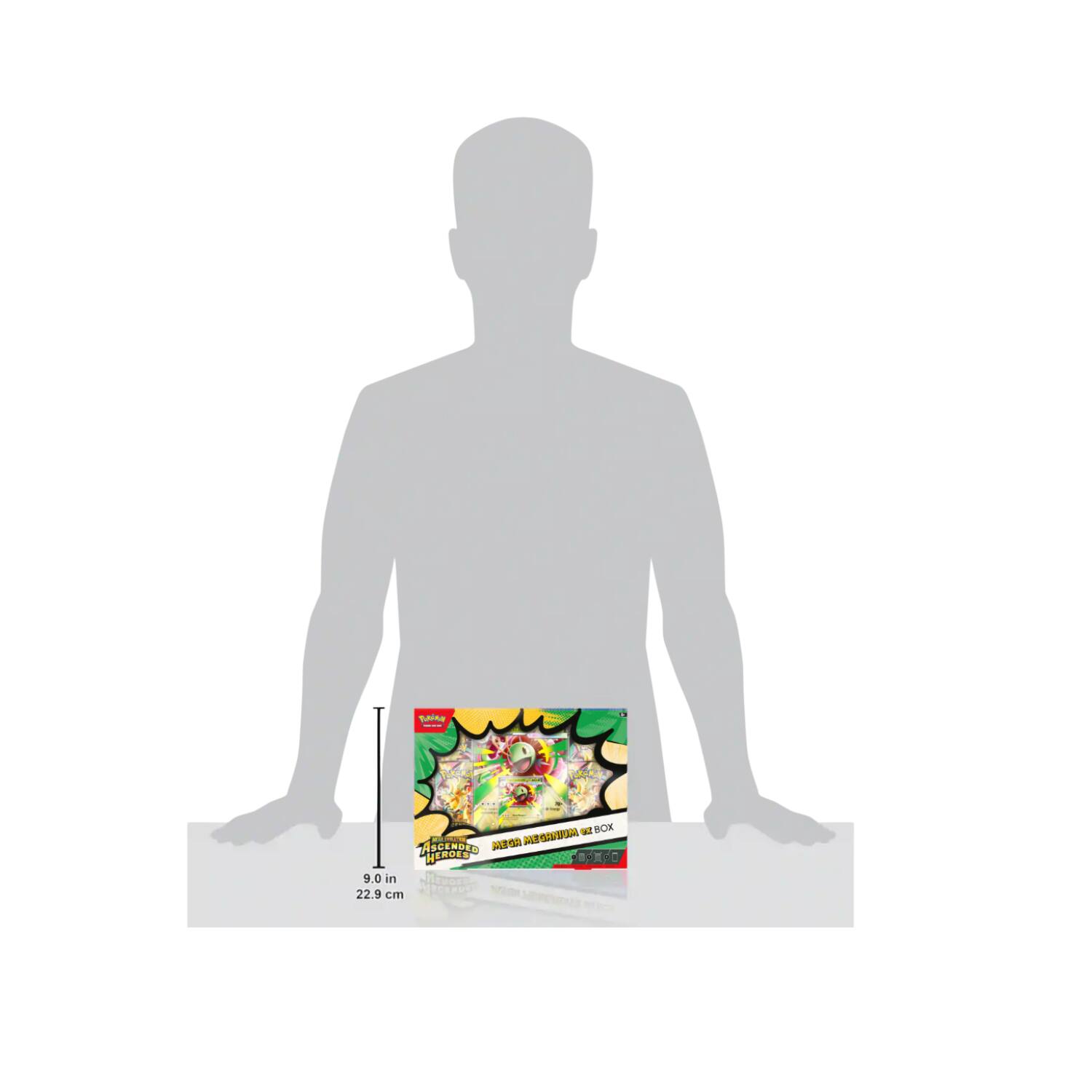 9.0 in 22.9 cm  
ME BOR  
AtoR  
AA OCUNDE  
HEROES  
DO  
SME  
REN