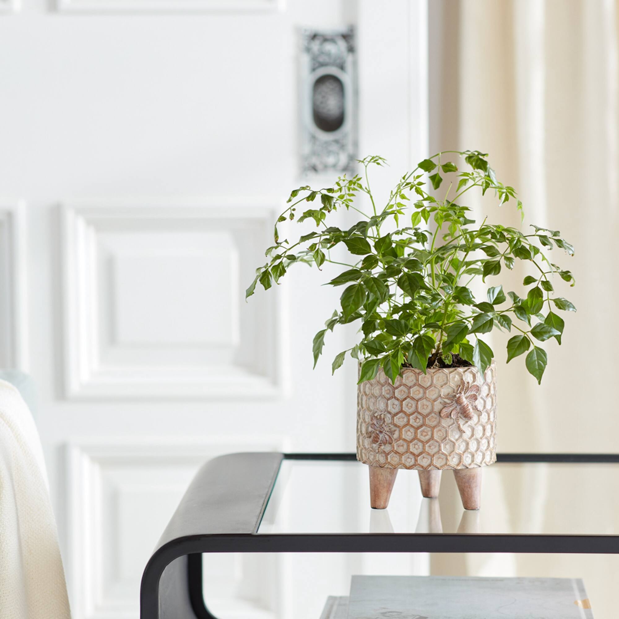 Angle. BreeBe - Resin Honeycomb Bumble Bee Planter with Legs (Set of 2) - Brown.