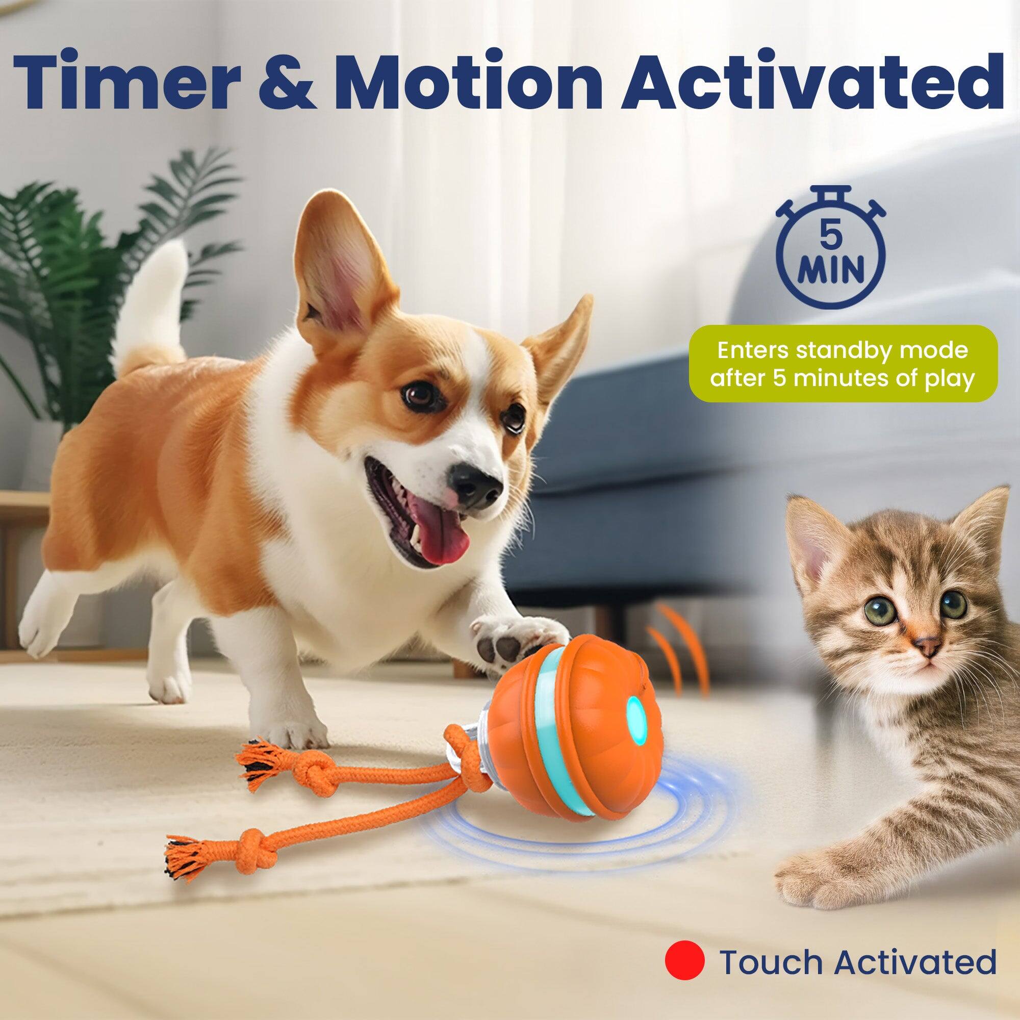 Timer & Motion Activated

5 MIN
Enters standby mode after 5 minutes of play

Touch Activated