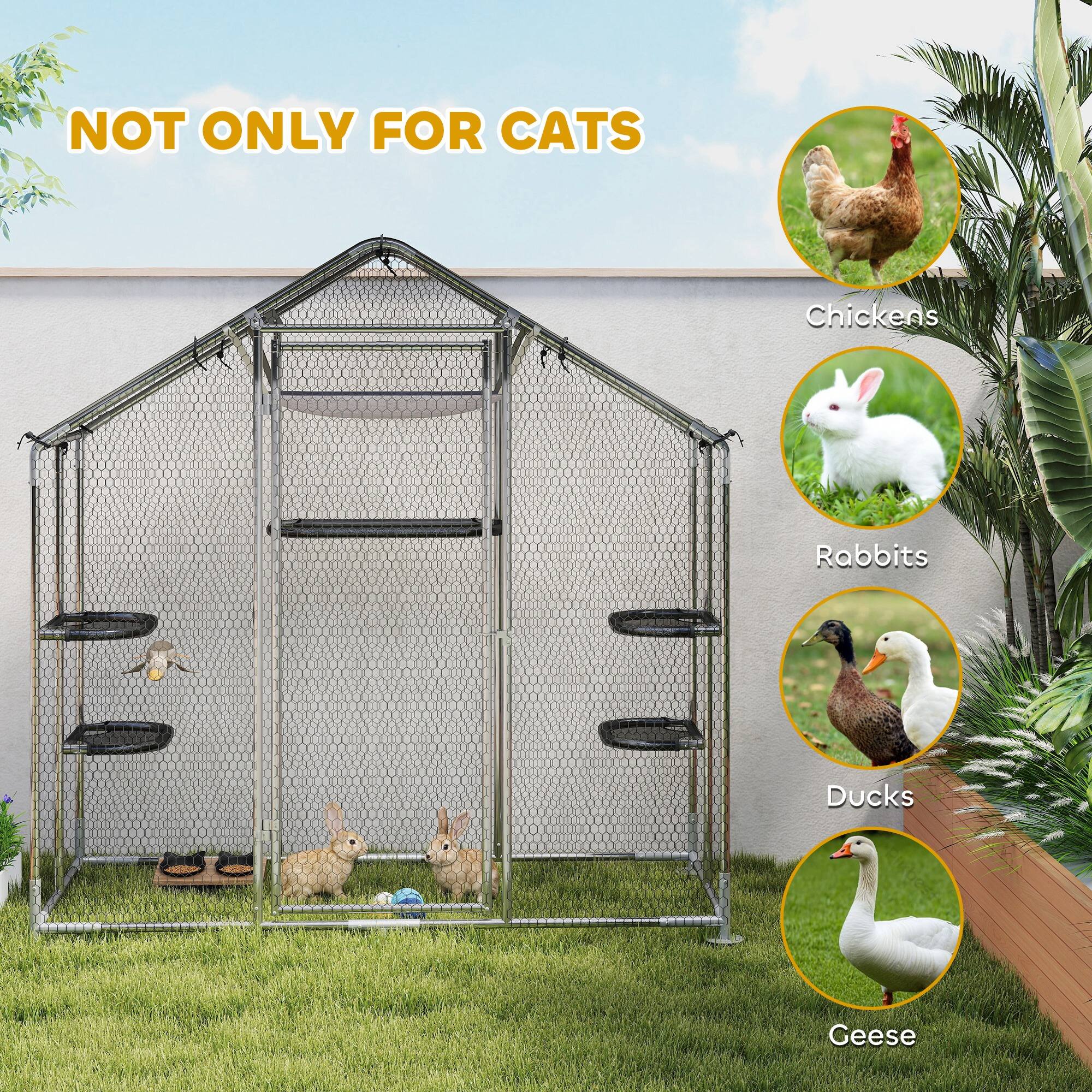 NOT ONLY FOR CATS

- Chickens
- Rabbits
- Ducks
- Geese