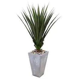 BreeBe - 5' Spiked Agave in Cement Planter (Indoor/Outdoor) - Green