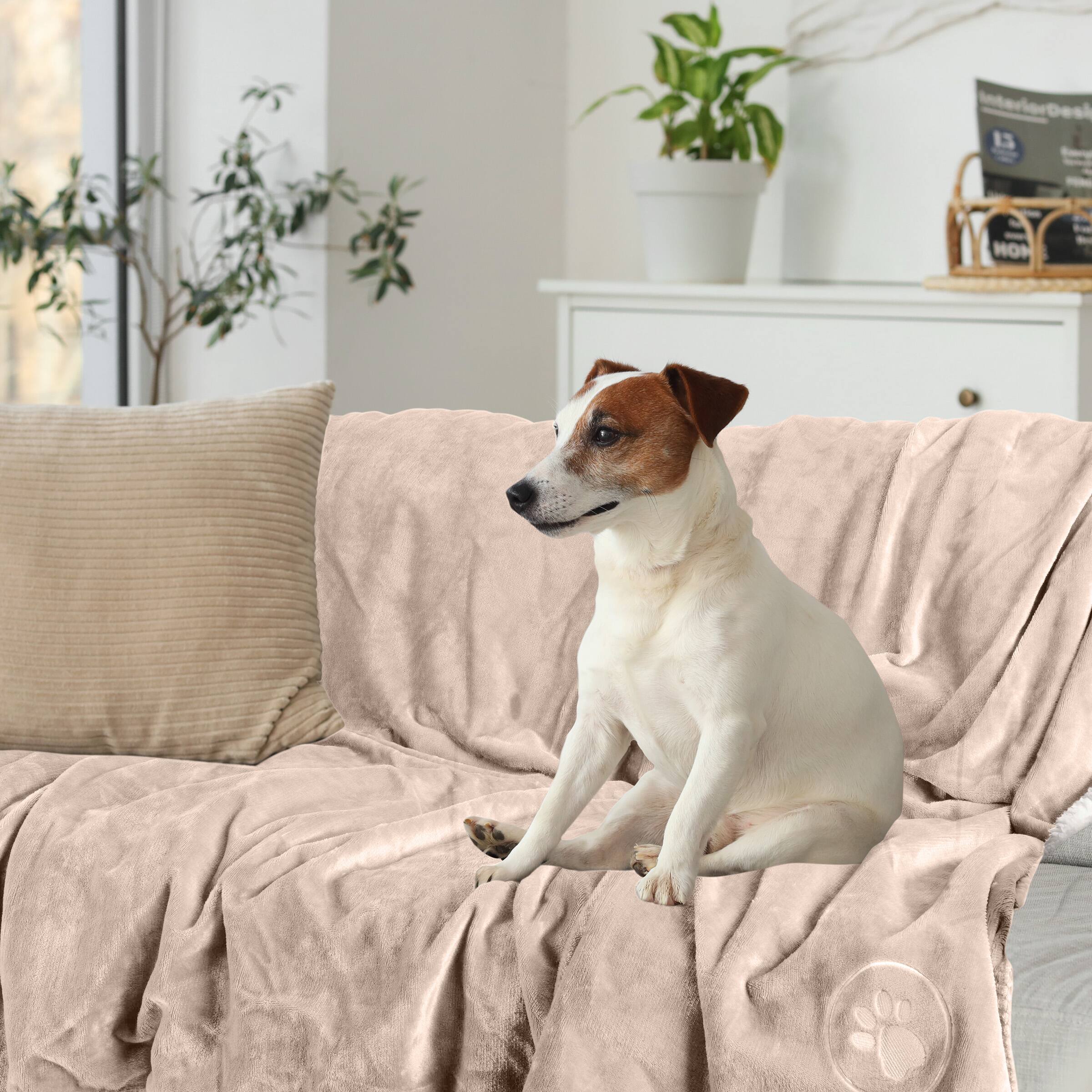 Interior Design is HON