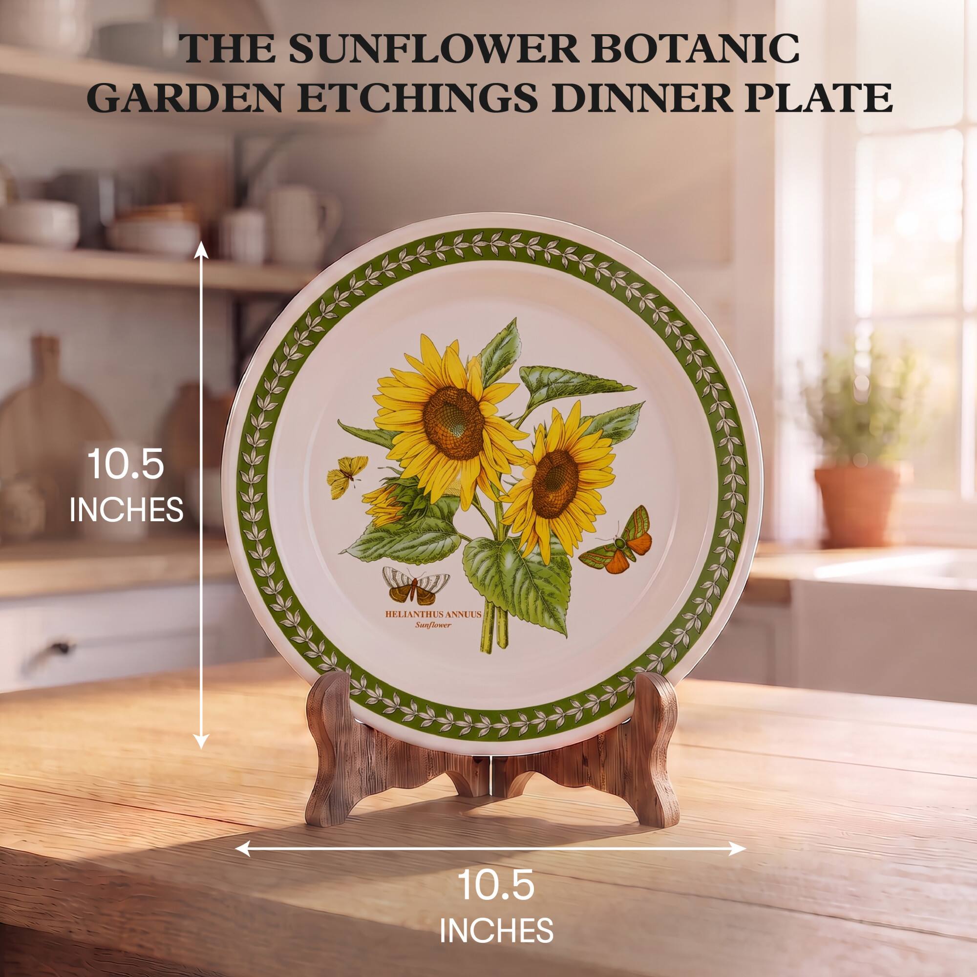 THE SUNFLOWER BOTANIC GARDEN ETCHINGS DINNER PLATE

10.5 INCHES

HELIANTHUS ANNUUS Sunflower

10.5 INCHES