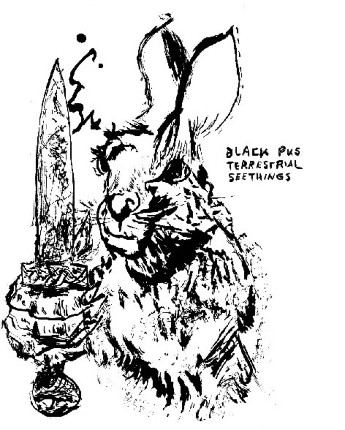 Black Pus - Terrestrial Seethings   - COMPACT DISCS [CD] price history on PriceWatchPro