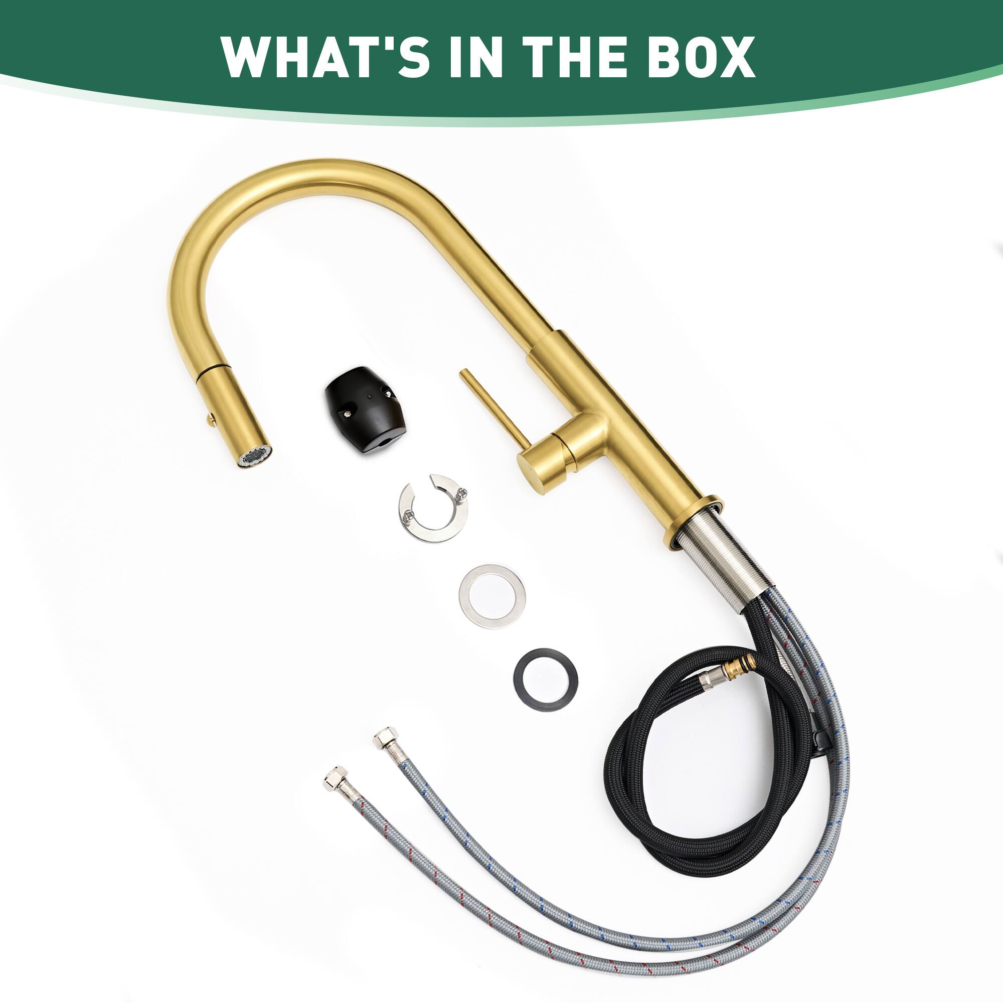 WHAT'S IN THE BOX