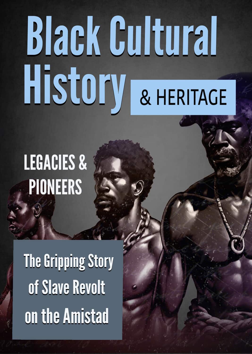 The Amistad Revolt: A Gripping Story of Resistance and Freedom   - DVD price history on PriceWatchPro