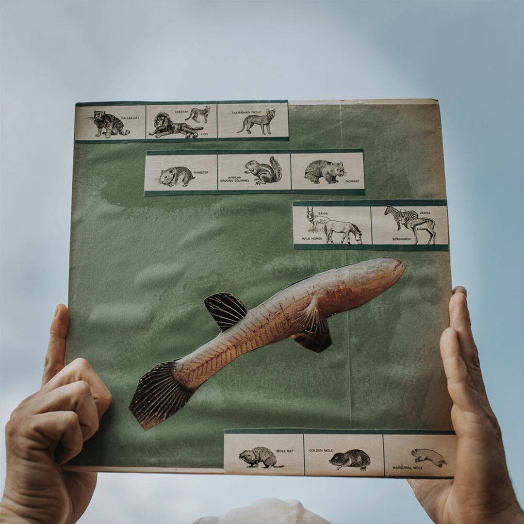 Front. The River Strumming [LP].