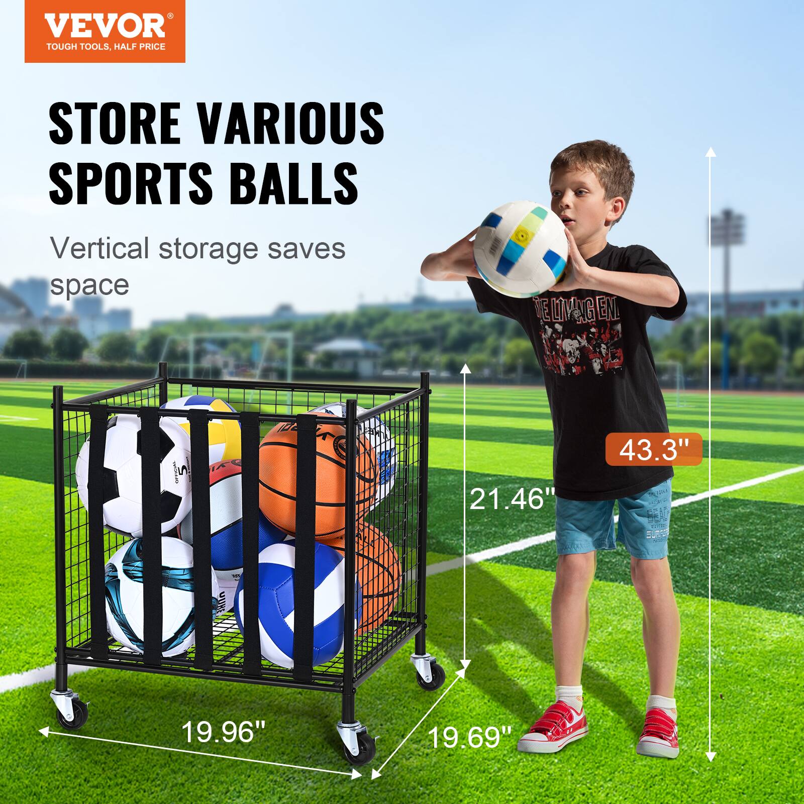 VEVOR TOUGH TOOLS, HALF PRICE STORE

STORE VARIOUS SPORTS BALLS

Vertical storage saves space

DELIMNG ENE DE LV EN

TD

21.46" 43.3" 19.96" 19.69"