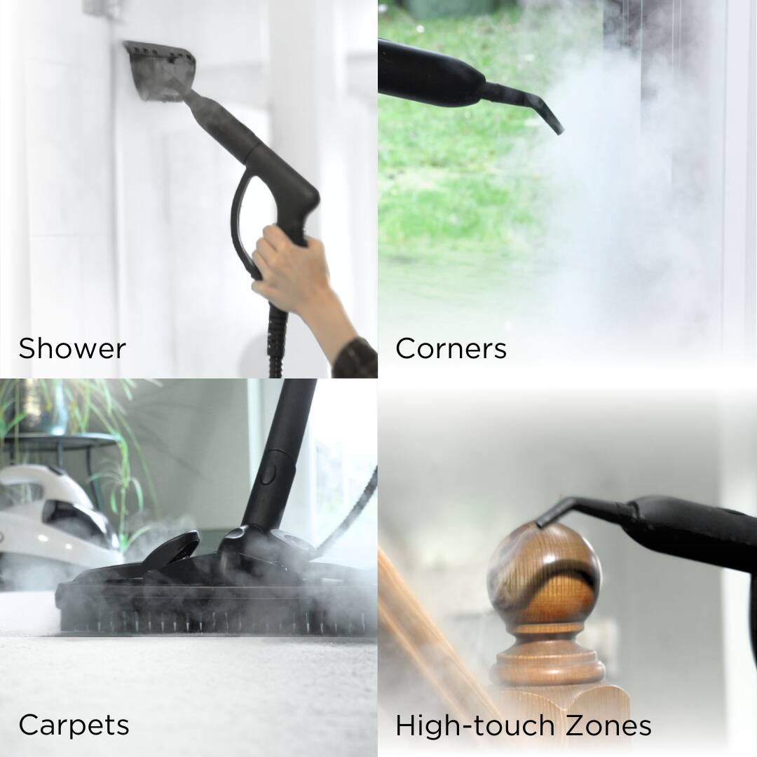 Shower, Corners, Carpets, High-touch Zones