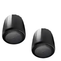 JBL - Control C60PS/T 8" 300W 8 Ohm and 70V/100V Pendant Subwoofer-Pair - Black - Front_Zoom