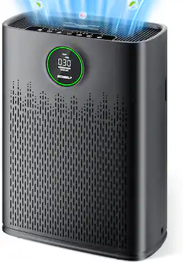 Ecoself - Air Purifier for Large Room up to 1295 Sq.Ft - 2X-Power Filtration, 99.97% Particle Removal - Black