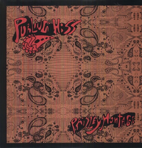 Purling Hiss - Paisley Montage  - VINYL LP