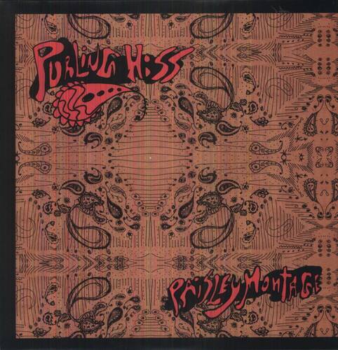 Purling Hiss - Paisley Montage - VINYL LP