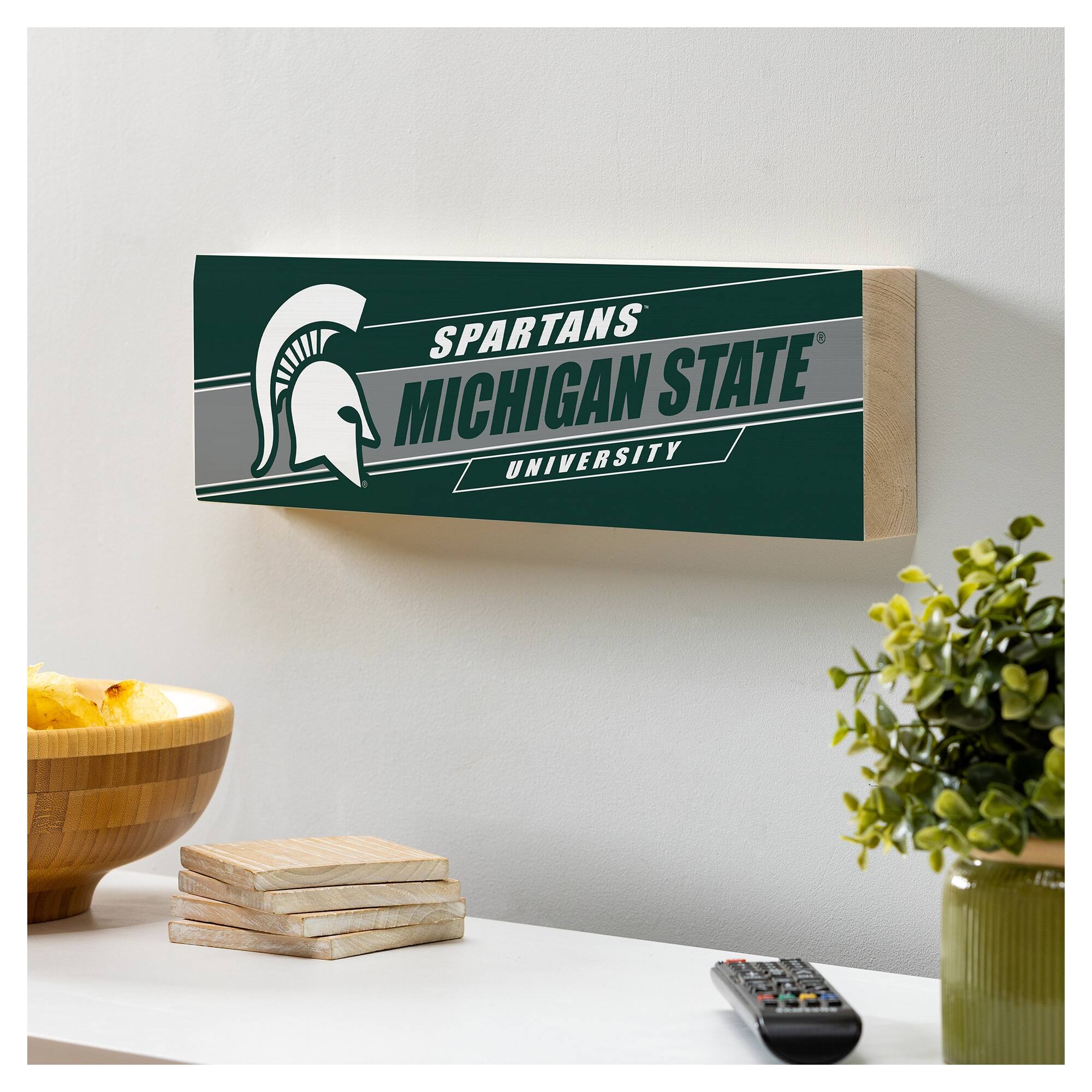 SPARTANS  
MICHIGAN STATE  
UNIVERSITY