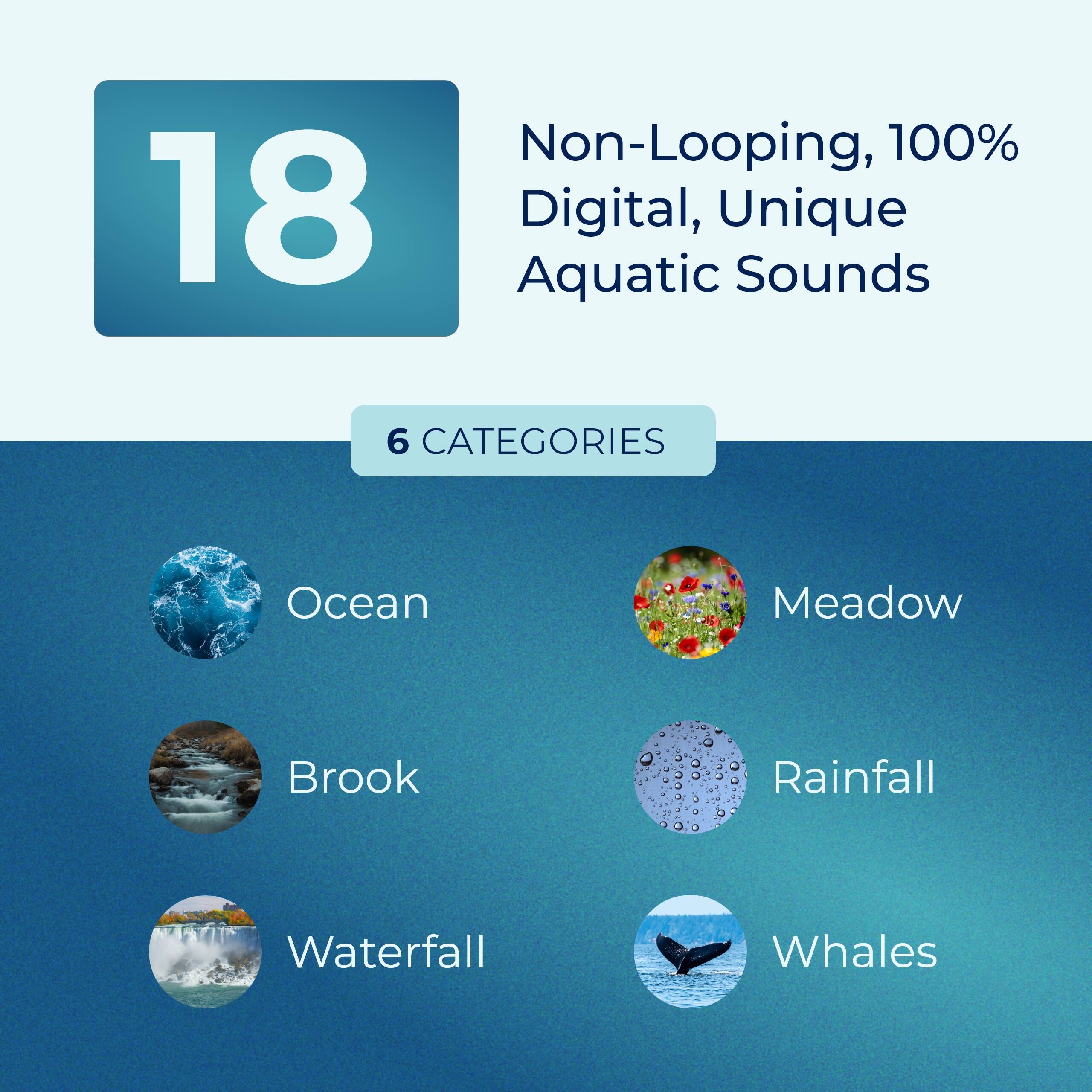 Non-Looping, 100% Digital, Unique Aquatic Sounds

6 CATEGORIES
Ocean
Meadow
Brook
Rainfall
Waterfall
Whales