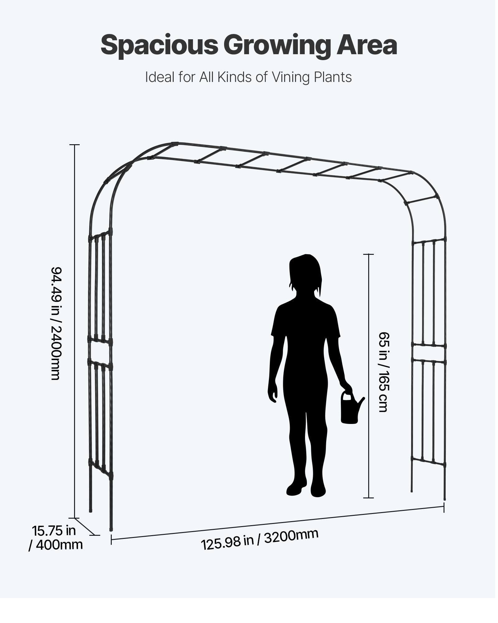 Spacious Growing Area  
Ideal for All Kinds of Vining Plants  

94.49 in / 2400mm  
65 in / 165 cm  
15.75 in / 400mm  
125.98 in / 3200mm