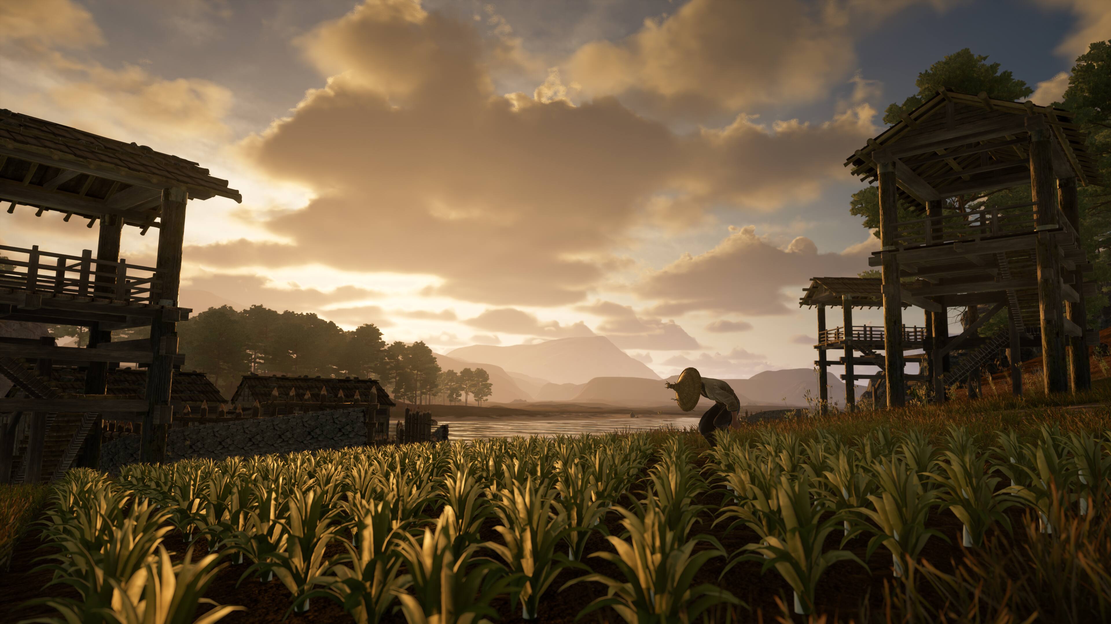 Back. GS2 Games - Sengoku Dynasty.