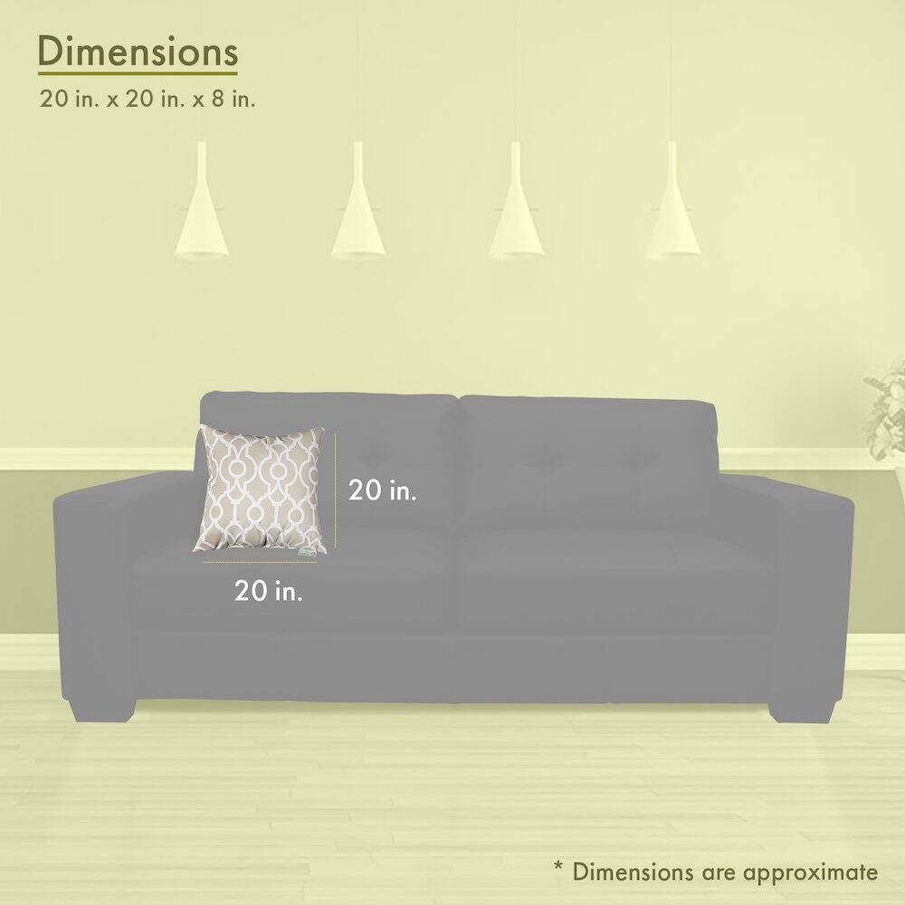 Dimensions  
20 in. x 20 in. x 8 in.  

20 in.  
20 in.  

*Dimensions are approximate