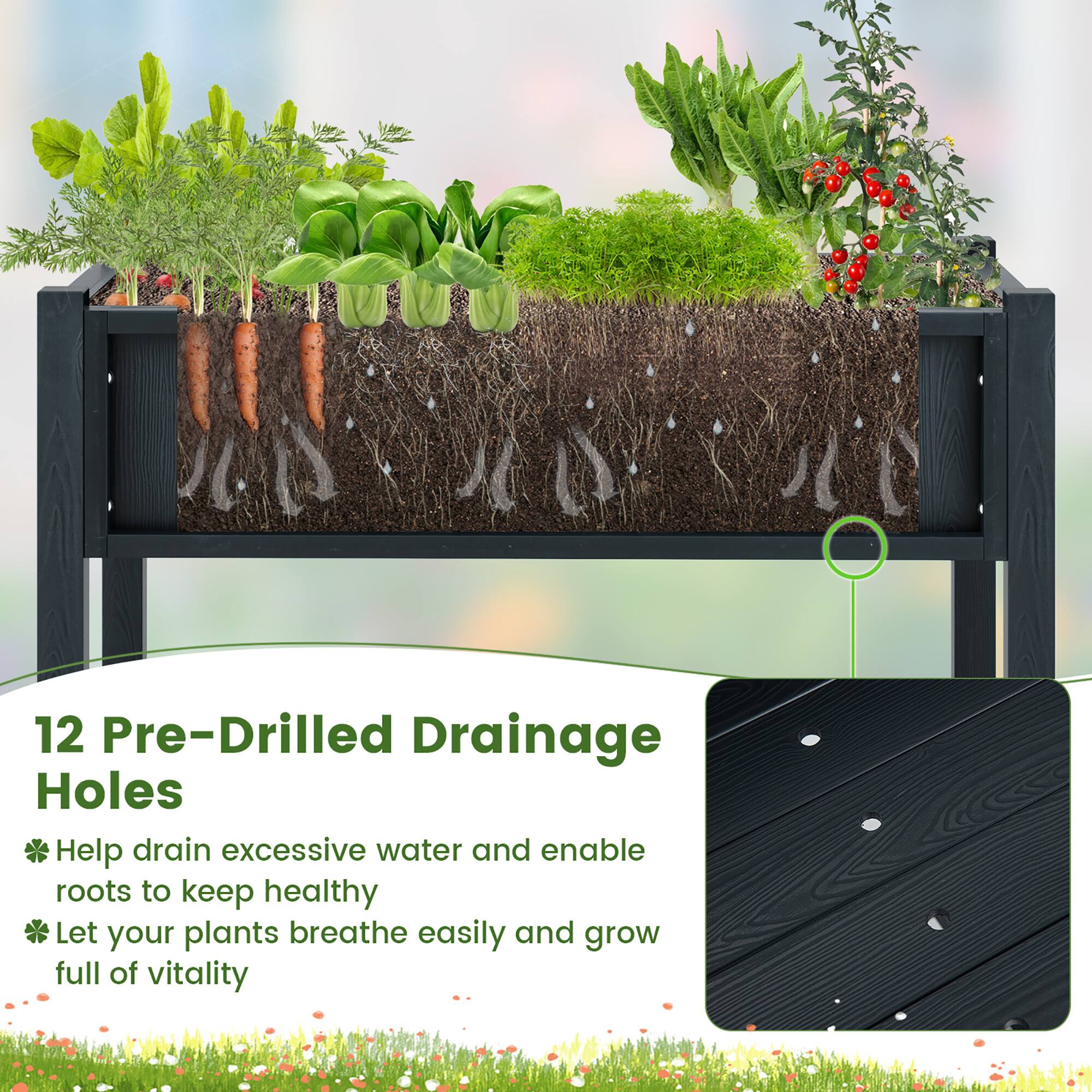12 Pre-Drilled Drainage Holes

- Help drain excessive water and enable roots to keep healthy
- Let your plants breathe easily and grow full of vitality
