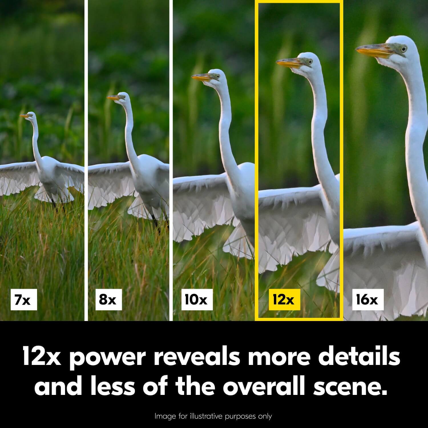 7x 8x 10x 12x 16x power reveals more details and less of the overall scene. Image for illustrative purposes only