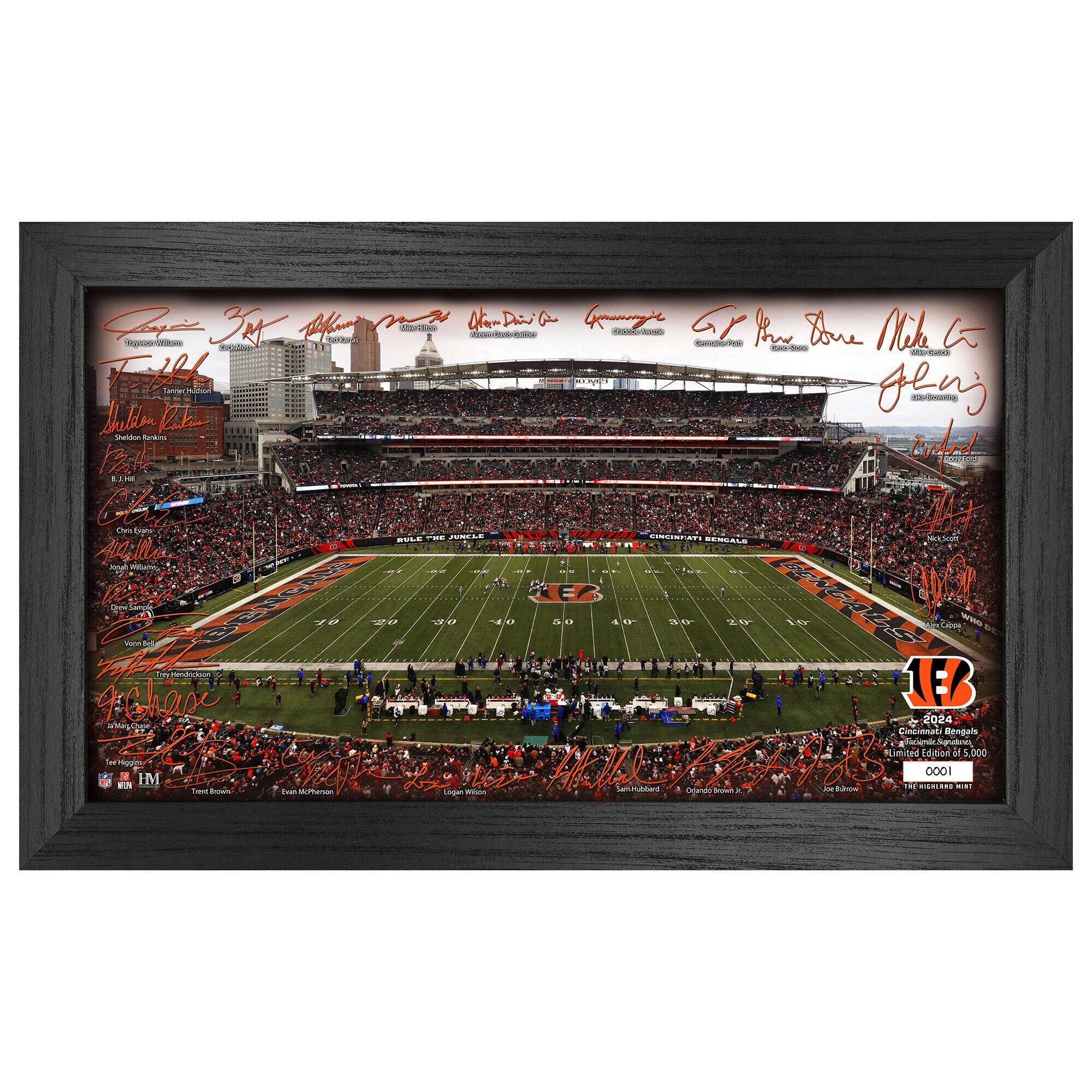 Cincinnati Bengals 12" x 20" 2024 Signature Gridiron Panoramic Framed Photo
