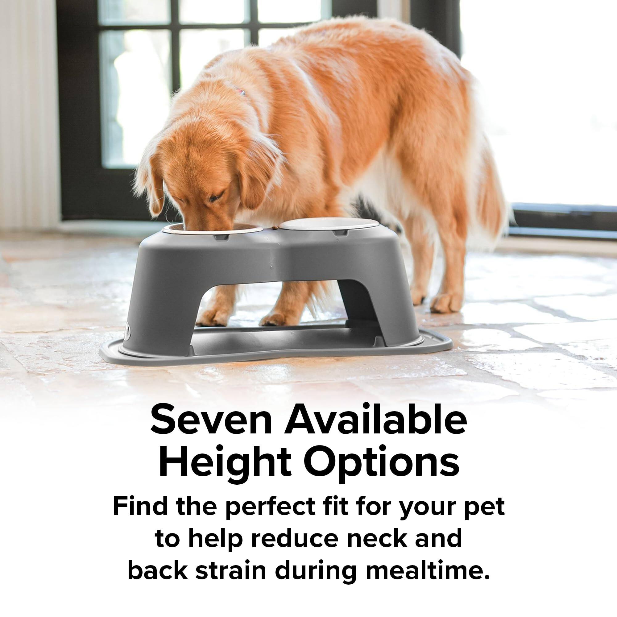 Seven Available Height Options  
Find the perfect fit for your pet to help reduce neck and back strain during mealtime.