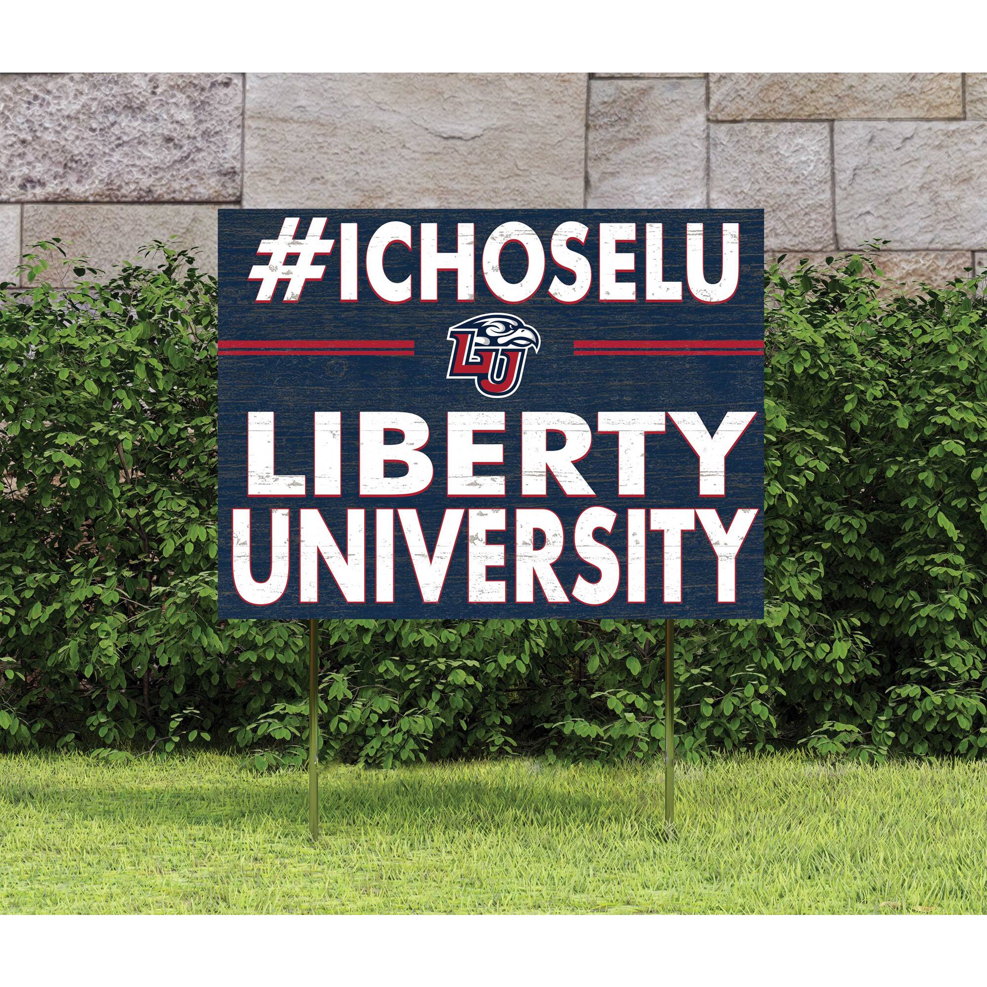 #ICHOSLU  
LU  
LIBERTY UNIVERSITY