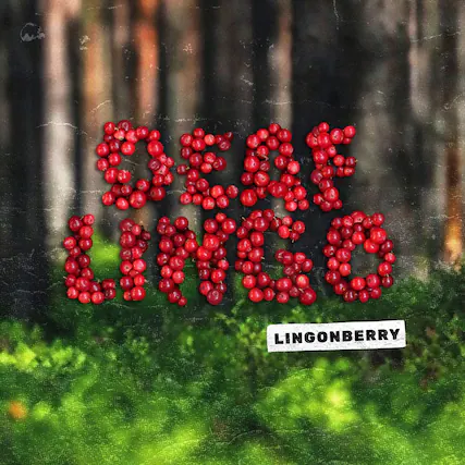 Front. Deaf Lingo - Lingonberry - VINYL LP.