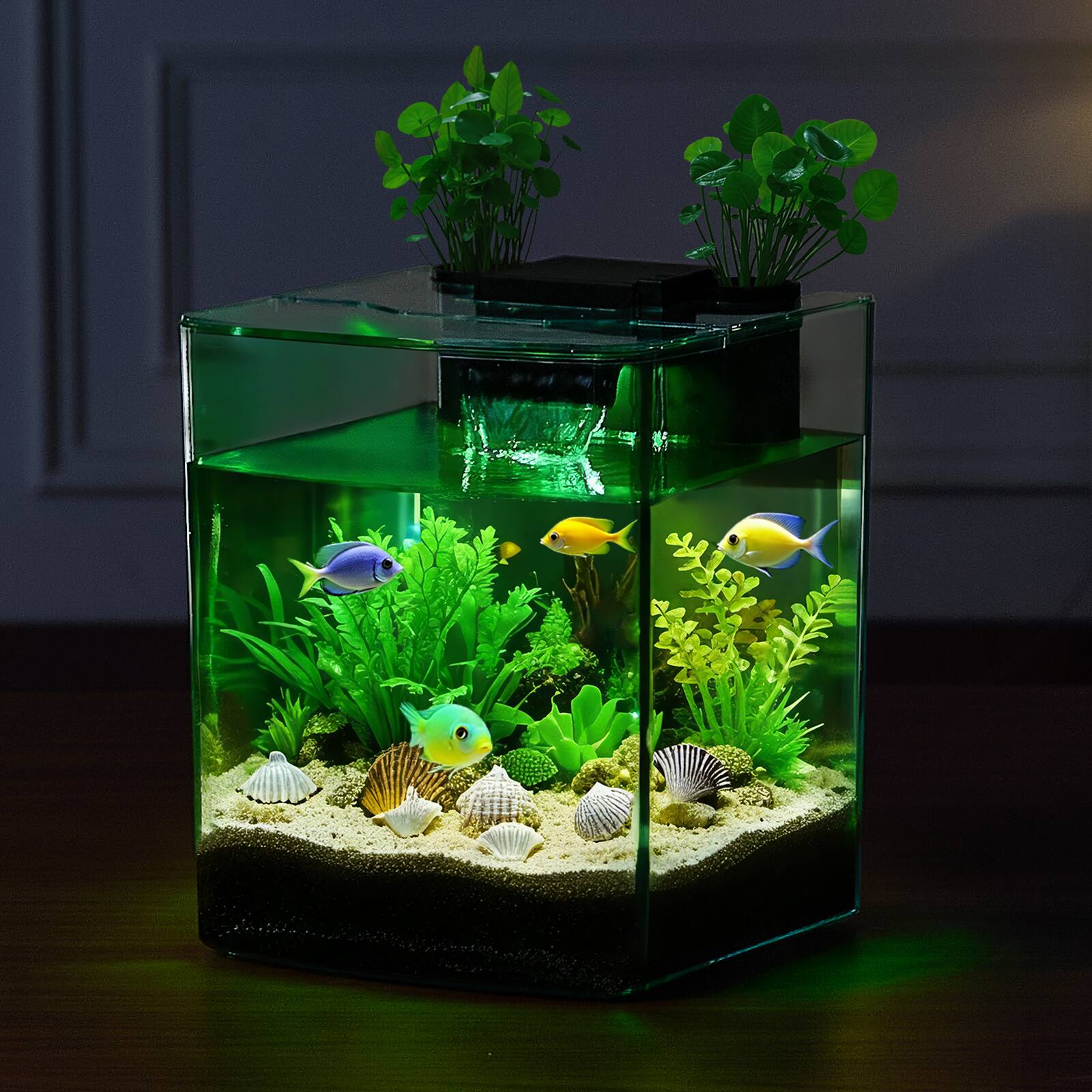 Alt View 3. HOMLUX - 2 Gallon Fish Tank Aquarium Smart Arch Clear GPPS 3 Color Self Cleaning - Black.
