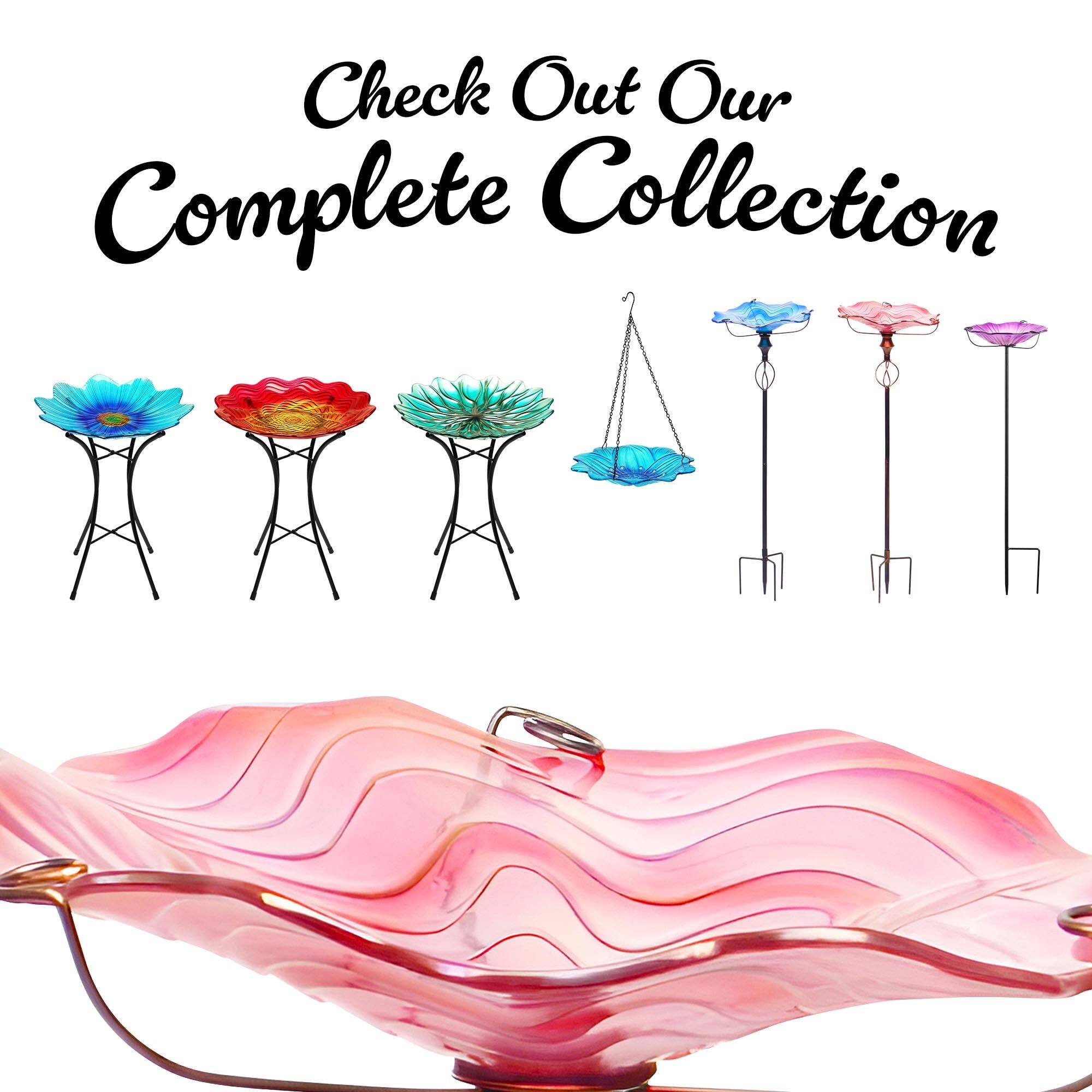 Check Out Our Complete Collection