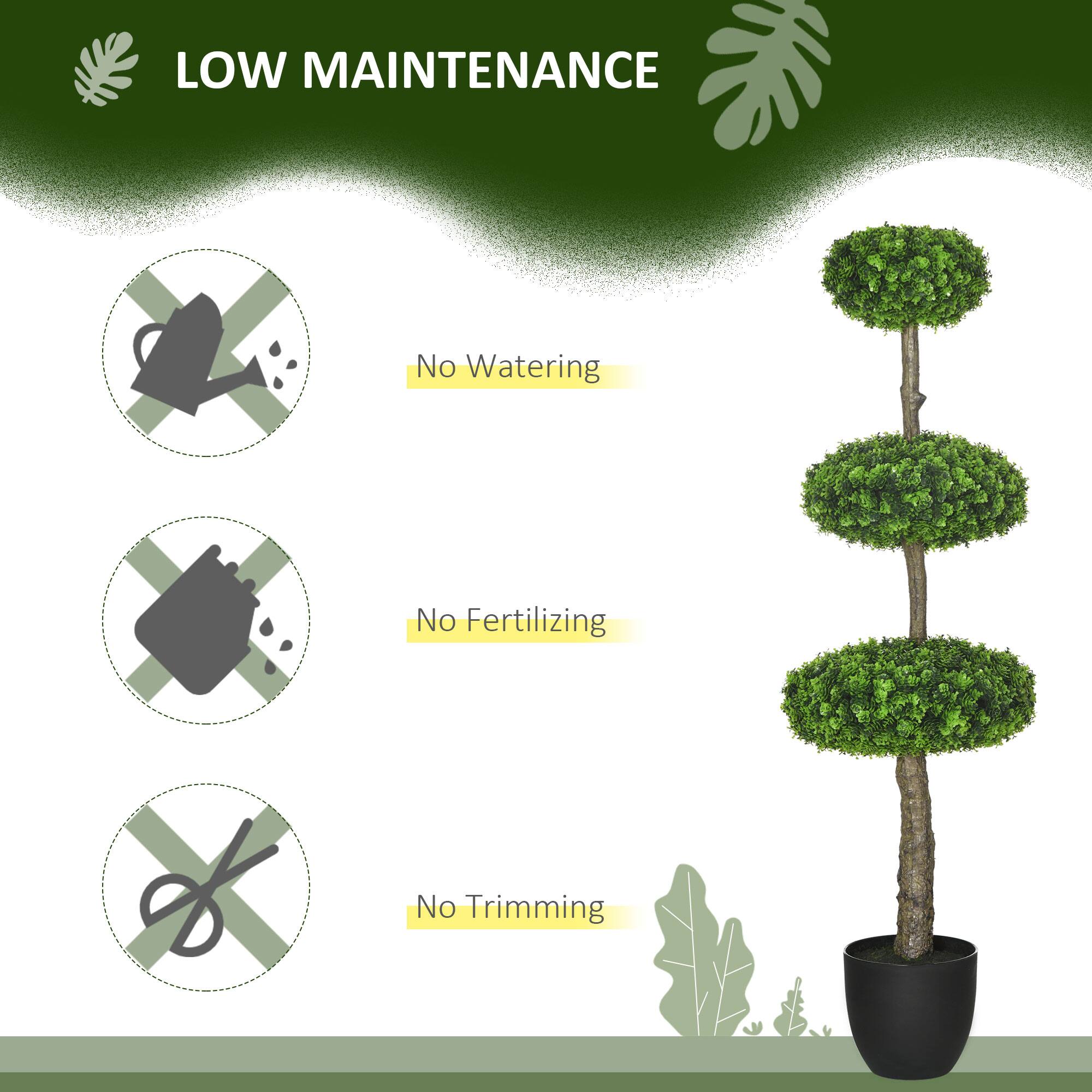 LOW MAINTENANCE
No Watering
No Fertilizing
No Trimming