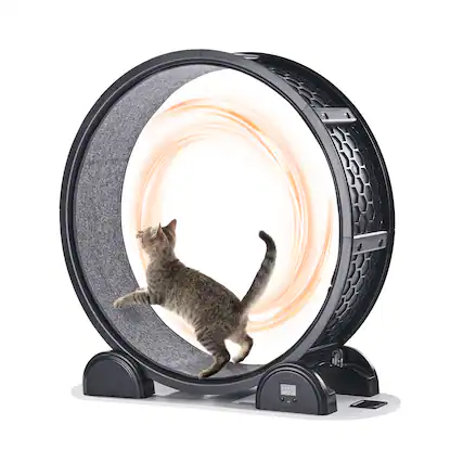 Front. VEVOR - Cat Exercise Wheel with Pedometer, 40.8 in, Cat Running Wheel with Brake & Carpeted Runway, Quiet Cat Treadmill - Black.