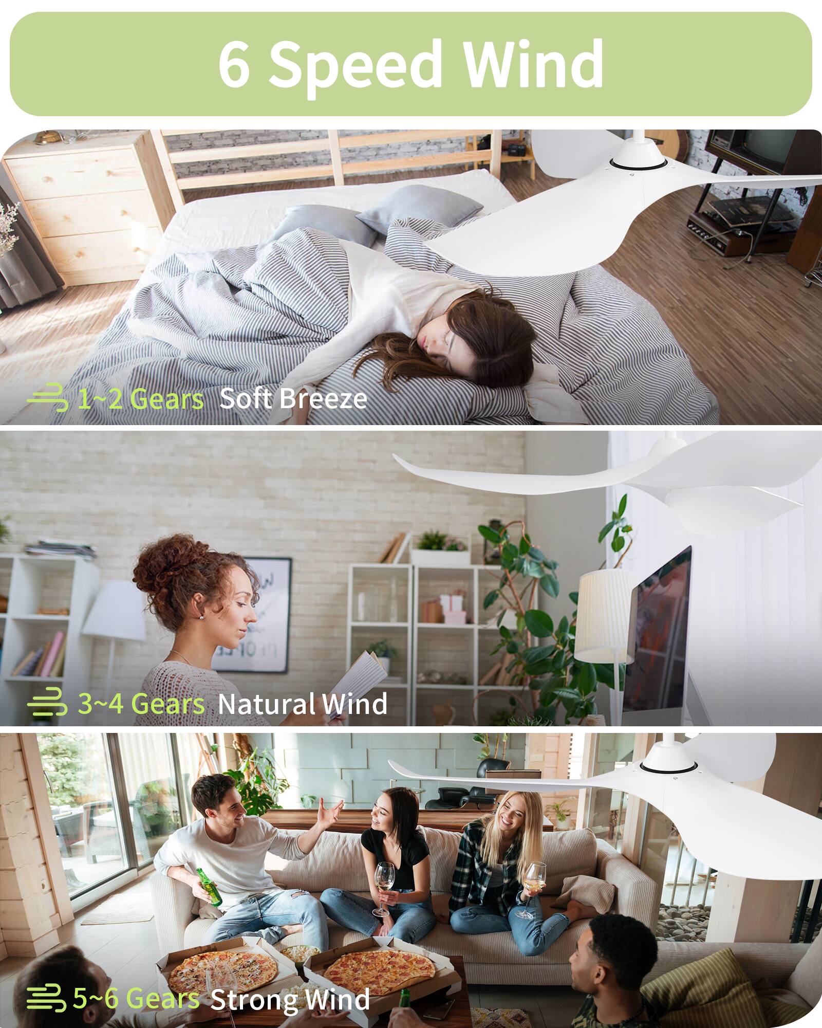 6 Speed Wind

1~2 Gears Soft Breeze

3~4 Gears Natural Wind

5~6 Gears Strong Wind