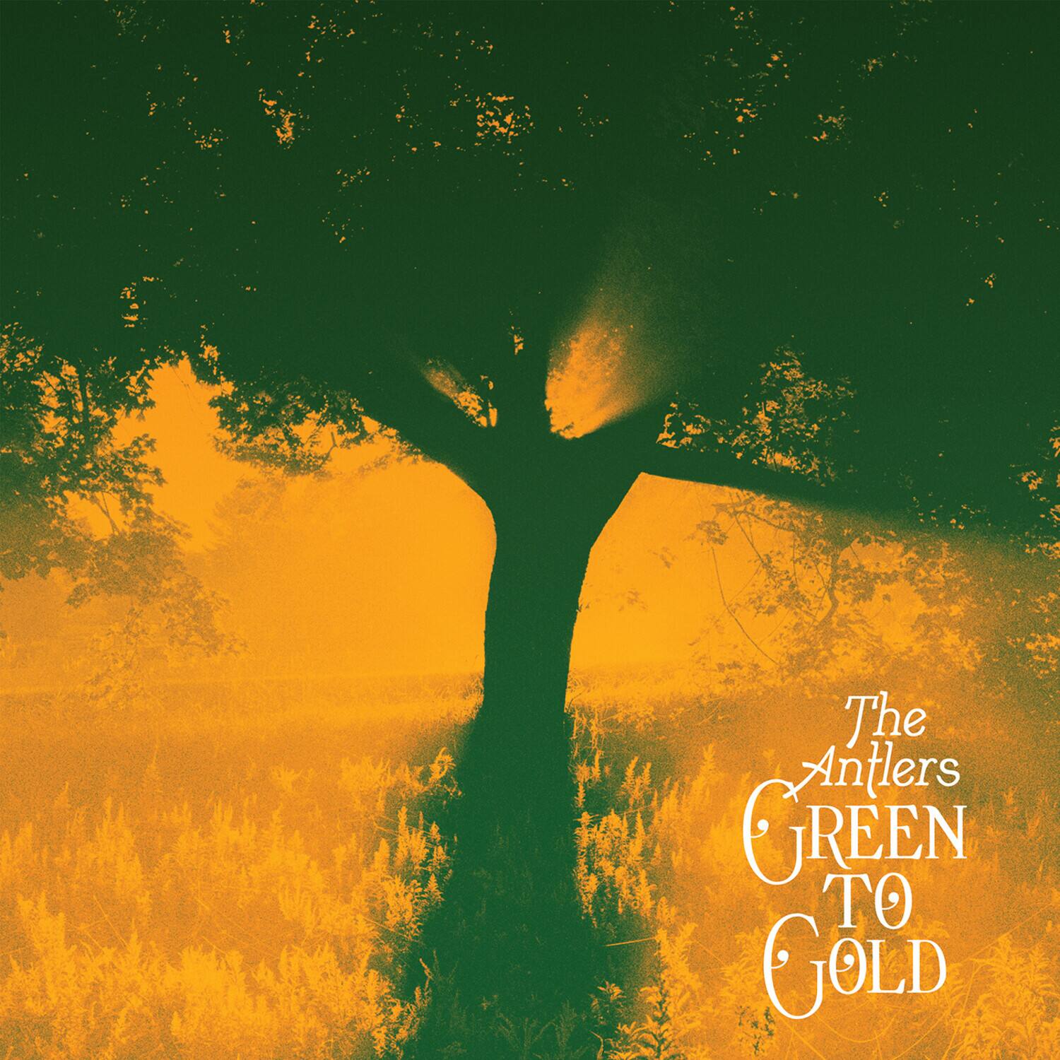 The Antlers - Green To Gold   - VINYL LP price history on PriceWatchPro