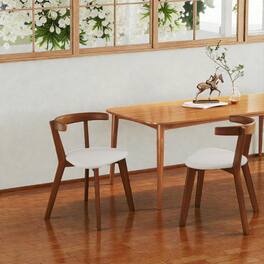 Hivvago - Modern Wooden Side Chairs with Plush Seating and Curved Back - Set of 2 - Walnut