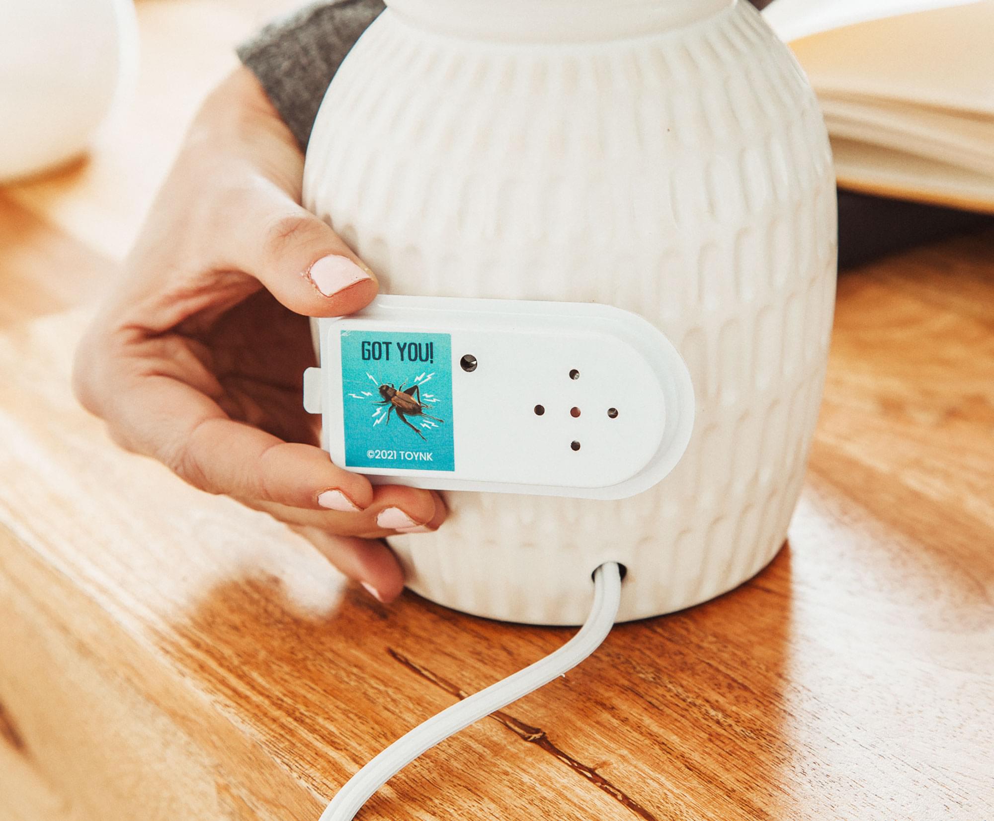 GOT YOU!  
©2021 TOYNK