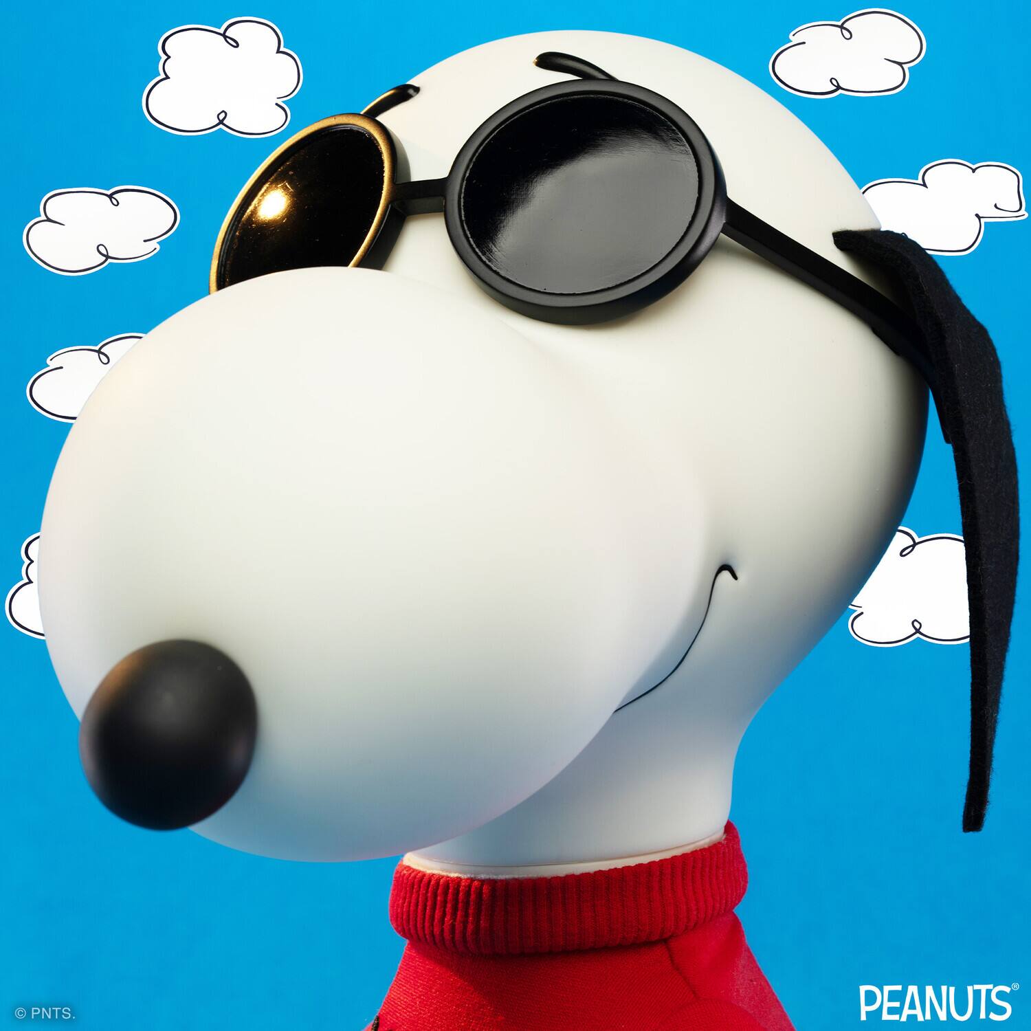 PNTS.  
PEANUTS