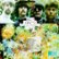 Front Standard. The Byrds' Greatest Hits [CD].