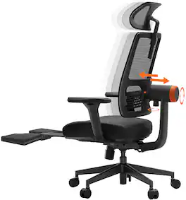 Newtral - Ergonomic High Back Mesh Office Chair - Black