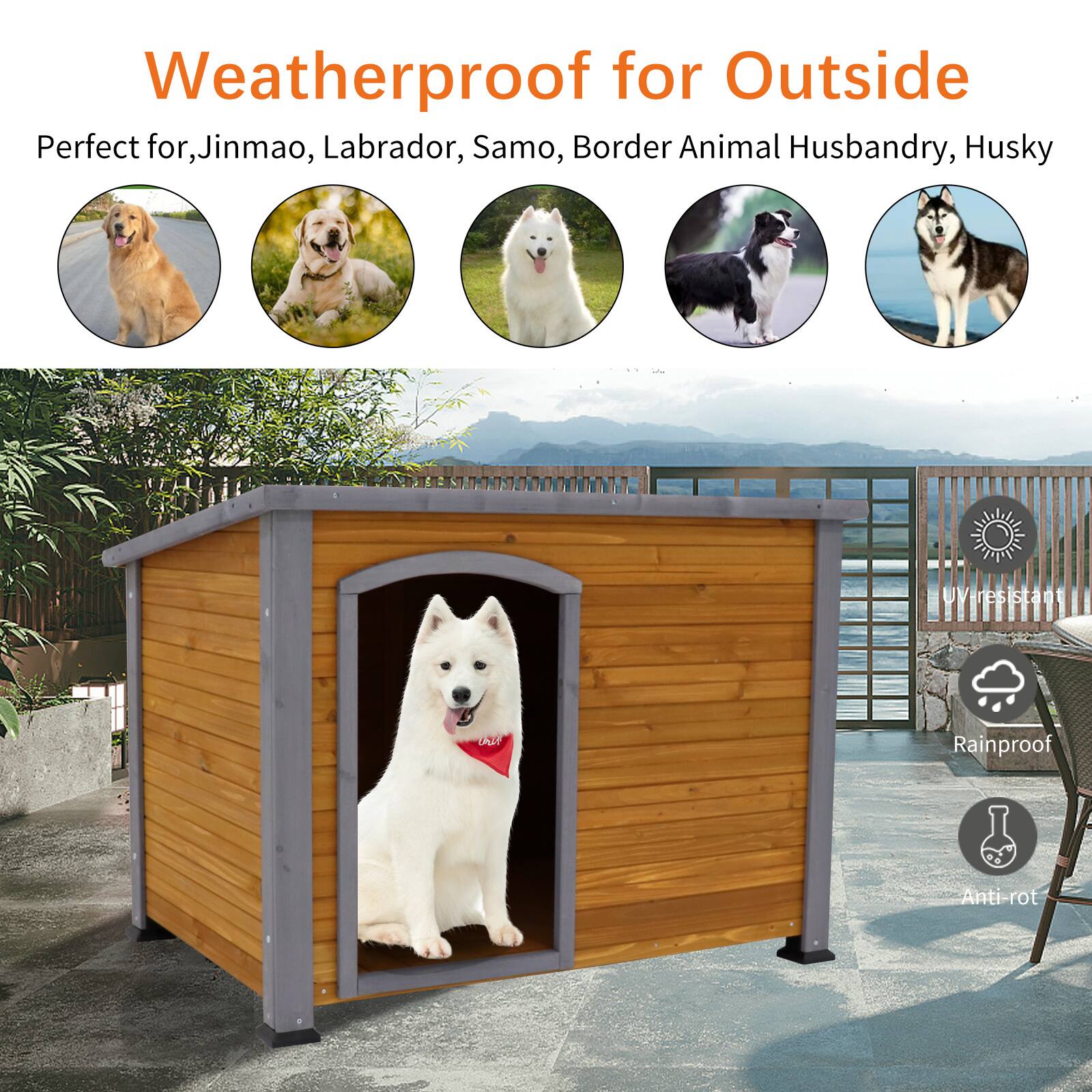 Weatherproof for Outside

Perfect for Jinmao, Labrador, Samo, Border Animal Husbandry, Husky

- UV resistant
- Rainproof
- Anti-rot
