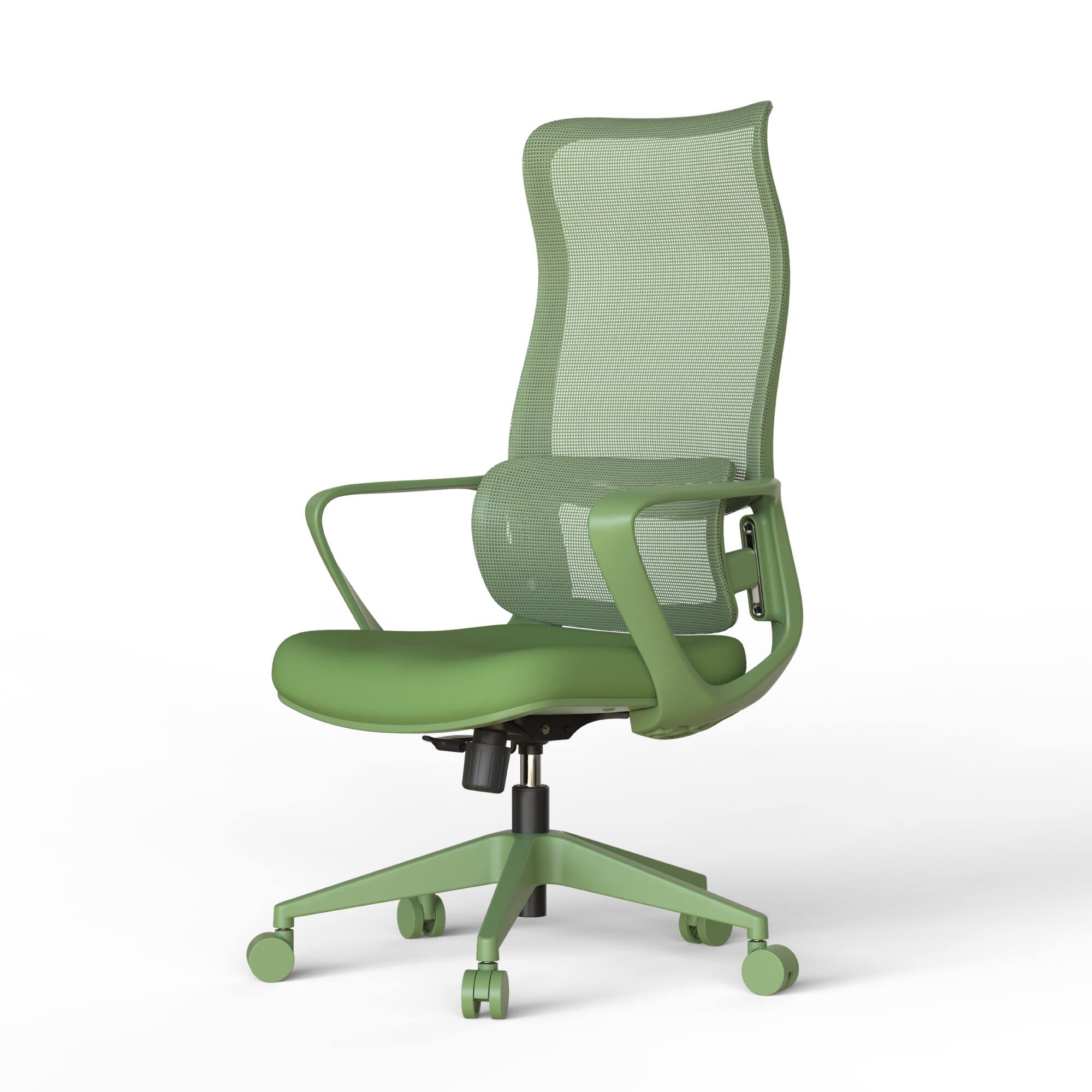 Alt View 6. Forest'nSky - Modern Ergonomic Mesh Office Chair – High-Back Executive Desk Chair with Lumbar Support, Adjustable Height, Green - Green.