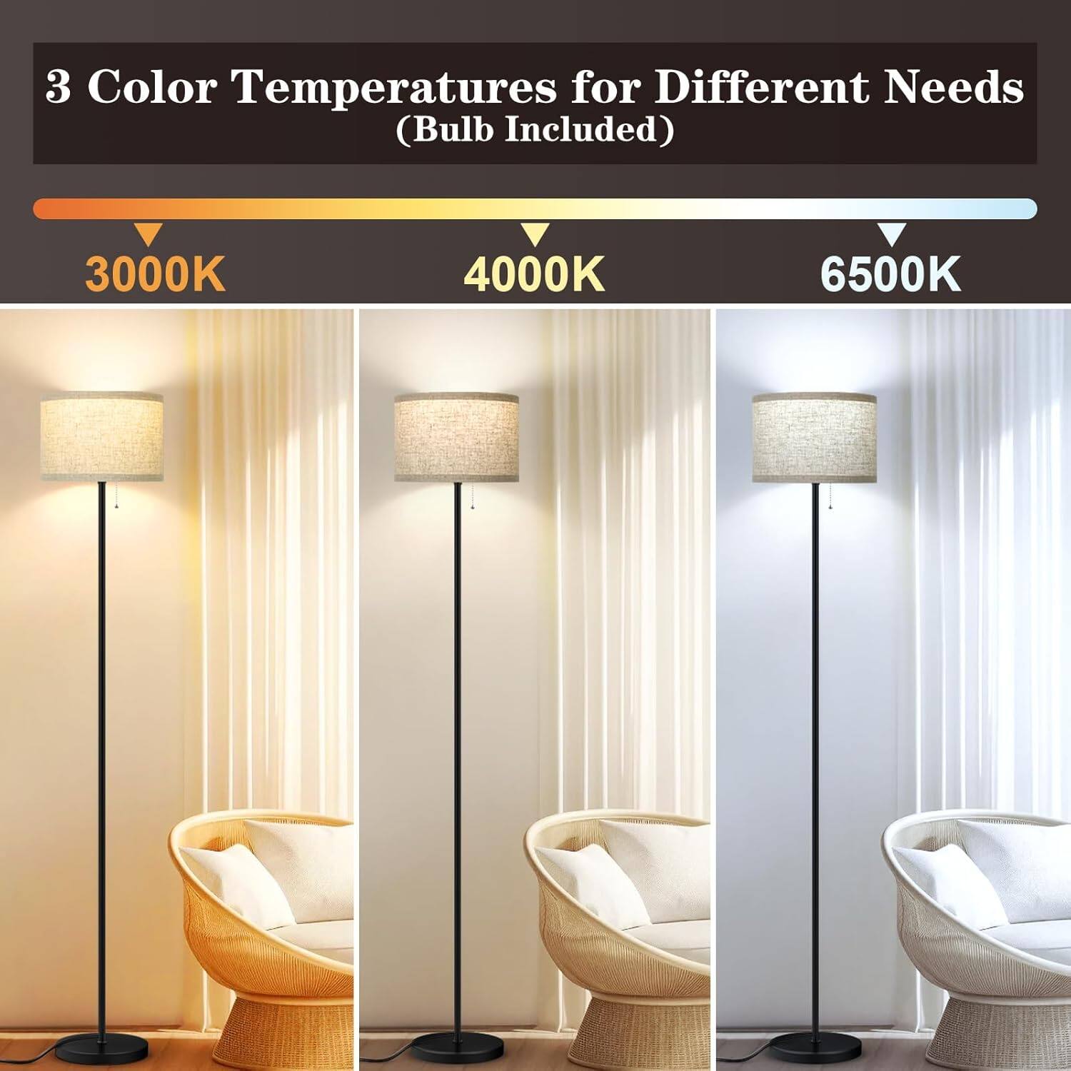 3 Color Temperatures for Different Needs (Bulb Included)

3000K 4000K 6500K