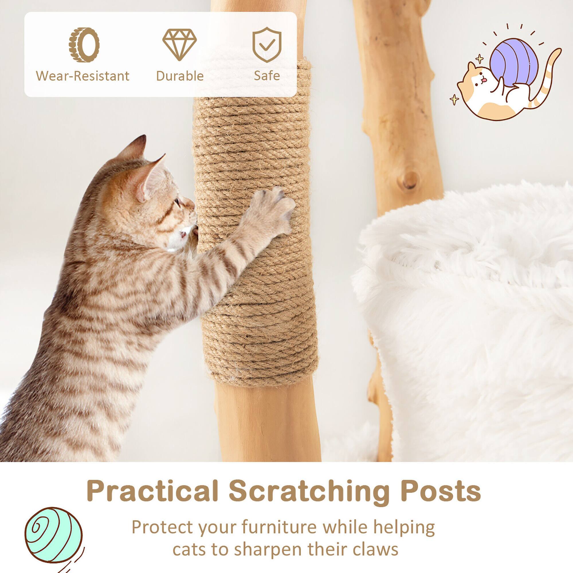 Practical Scratching Posts  
Protect your furniture while helping cats to sharpen their claws  

Wear-Resistant  
Durable  
Safe
