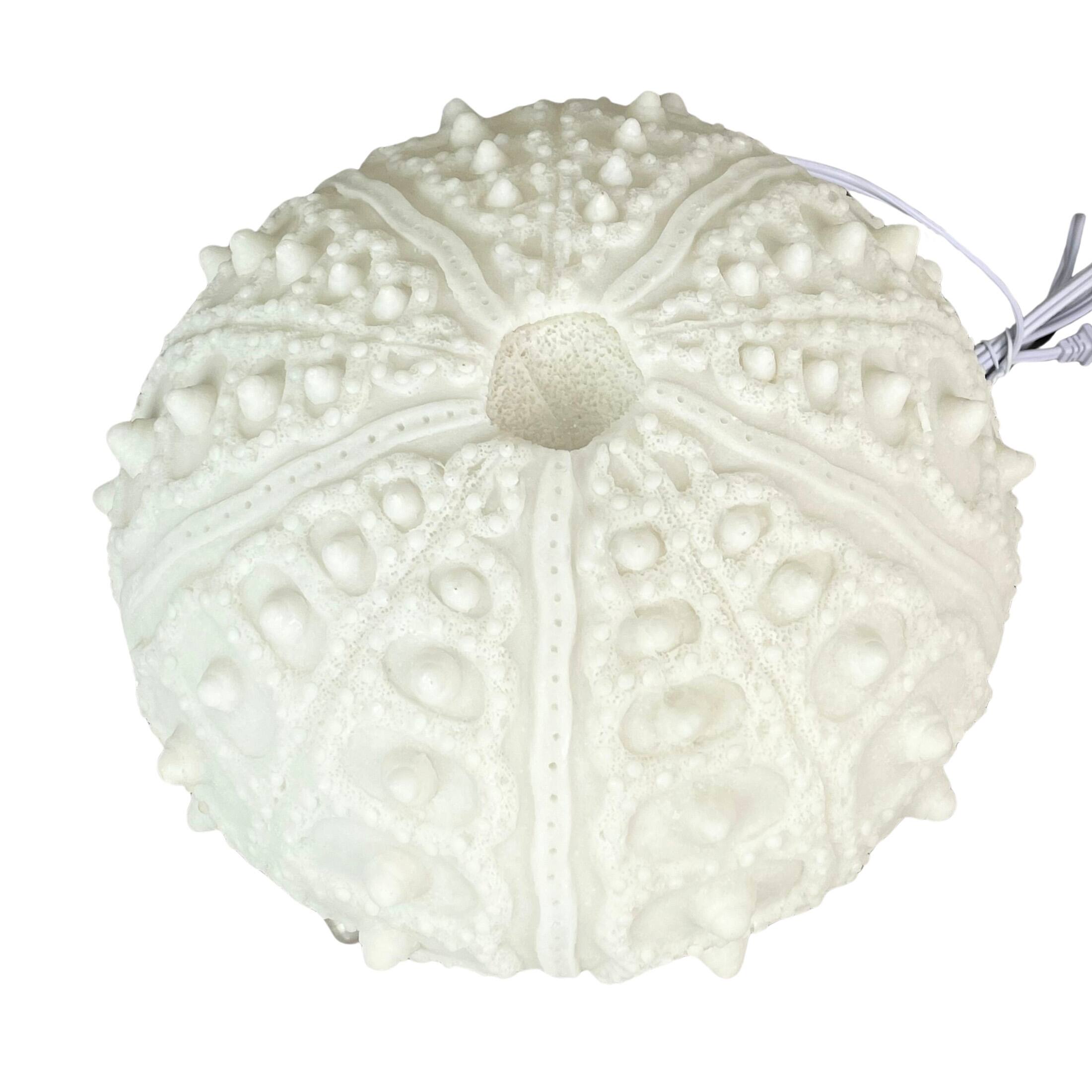 Alt View 5. Contrast Inc. - Coastal Sea Urchin Lamp, 12" Resin Sculpture with Warm Glow, Decorative Accent - White.