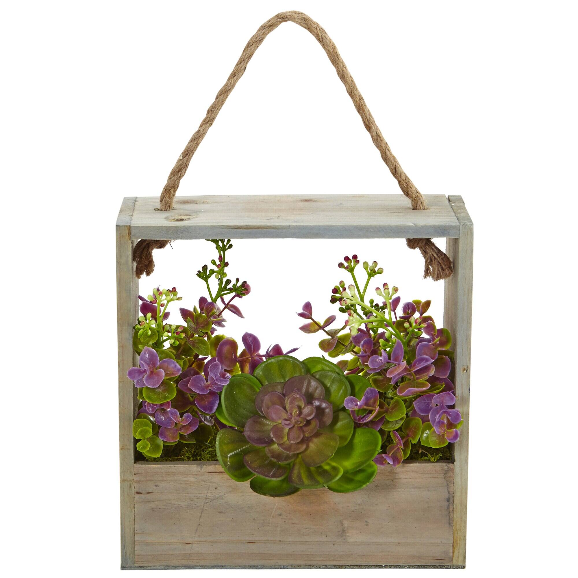 Front. BreeBe - 12.5" Echeveria Succulent & Eucalyptus in Hanging Frame - Multicolor 1.