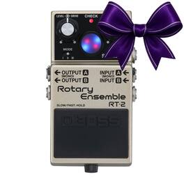 BOSS - RT-2 Rotary Ensemble Pedal with 32-bit DA Conversion 48 kHz Sample Rate