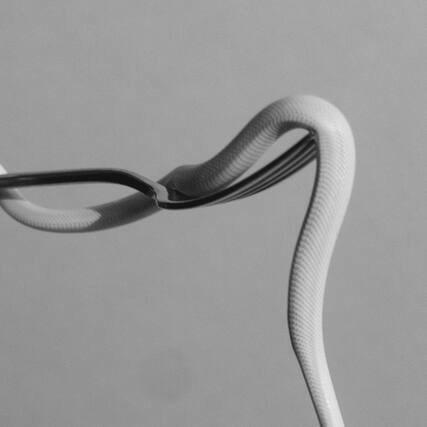 Front. Animals as Leaders - Parrhesia - VINYL LP.