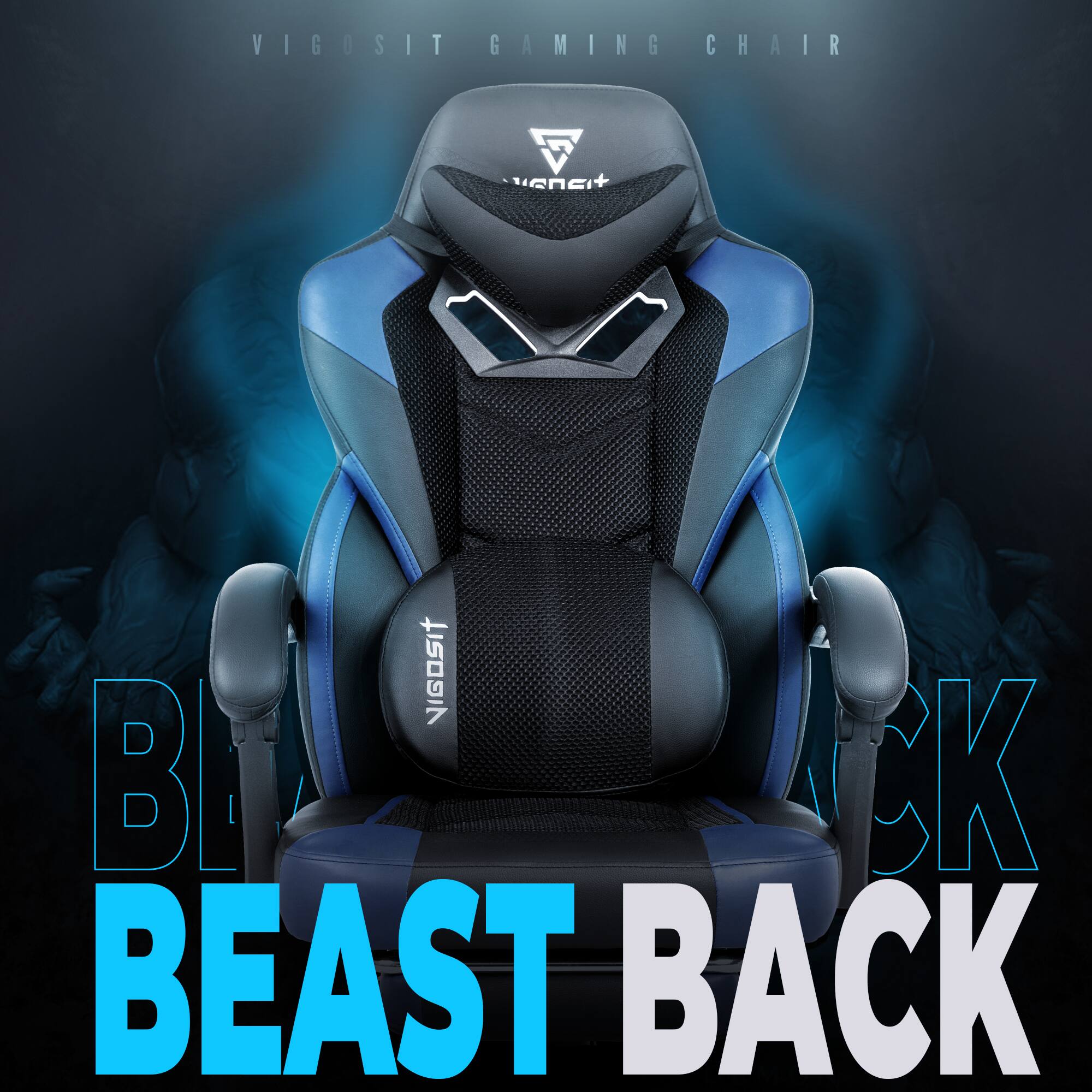 VIGOSIT GAMING CHAIR  
VIGOSIT  
BLACK BEAST BACK