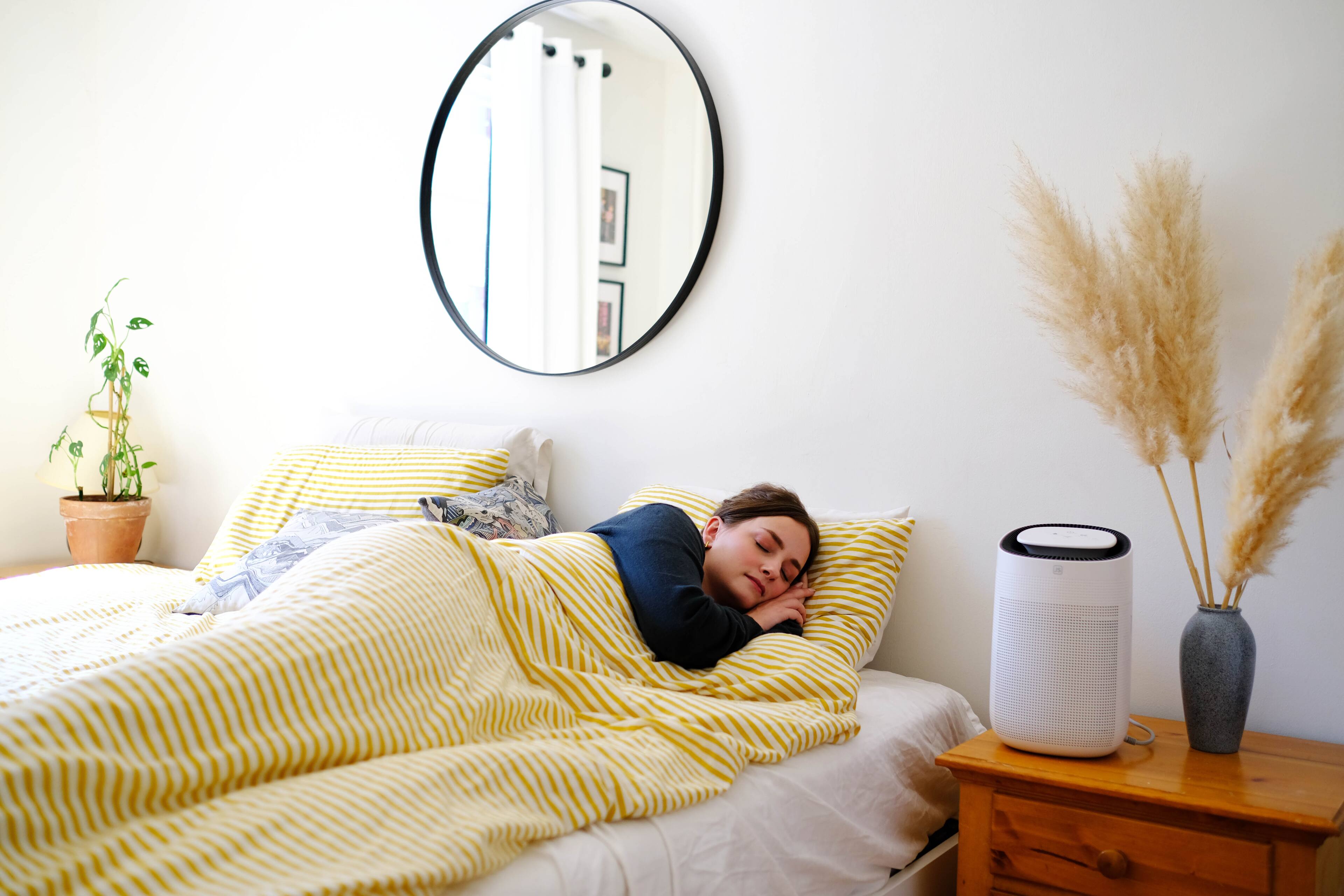 Left. JS Innovations - JS Vanguard 2.0 - 2-in-1 Air Purifier HEPA and Dehumidifier.